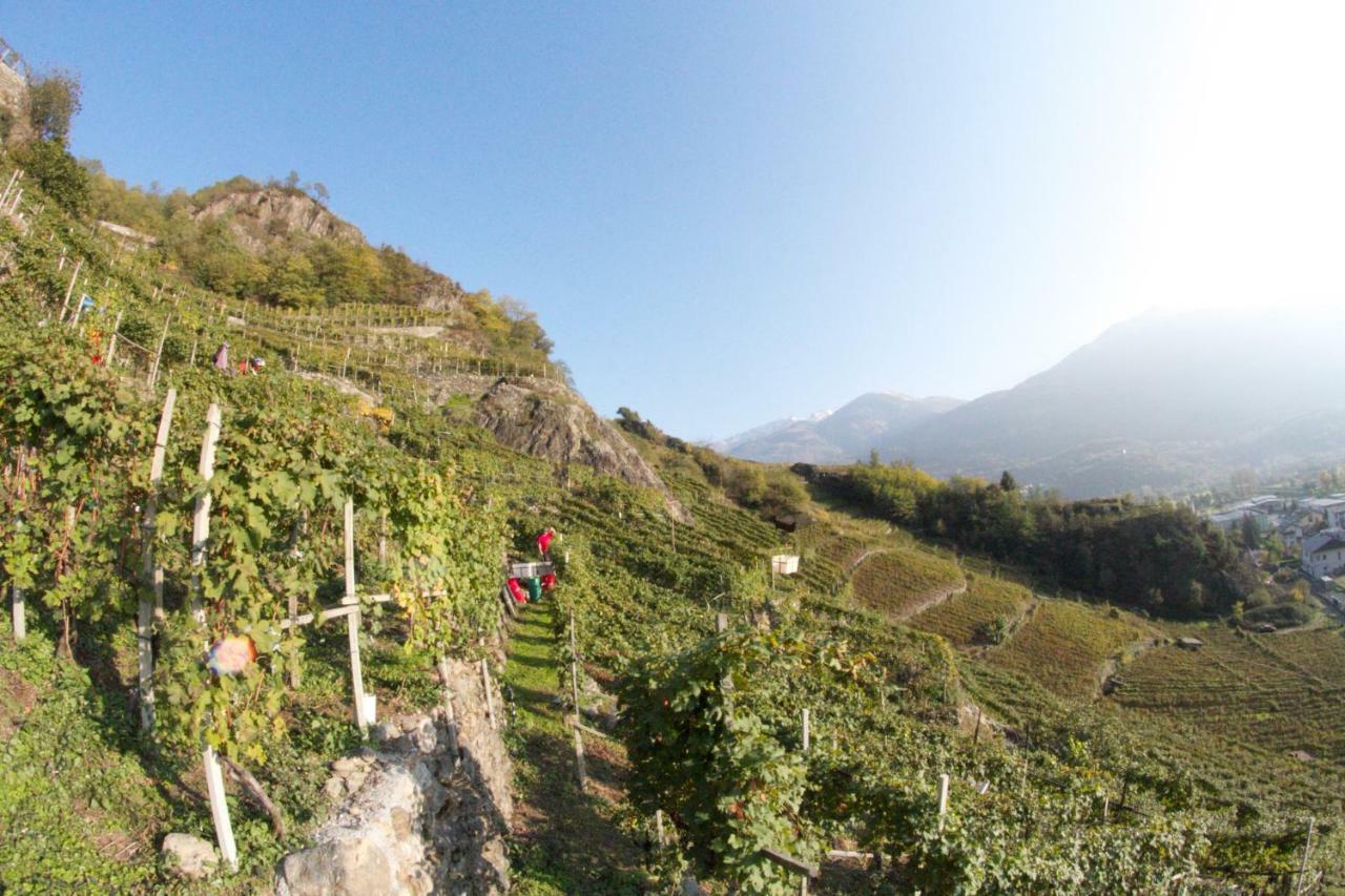 سوندريو Winebnb المظهر الخارجي الصورة